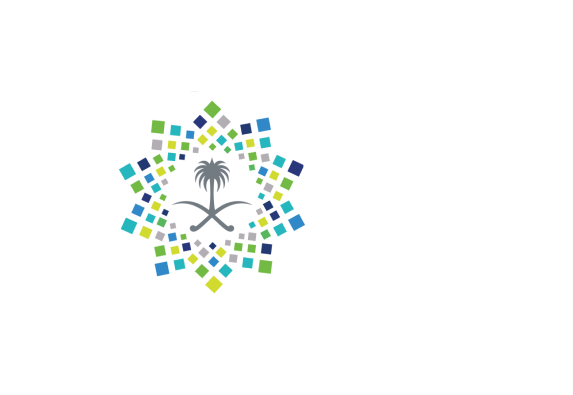 رؤية 2030